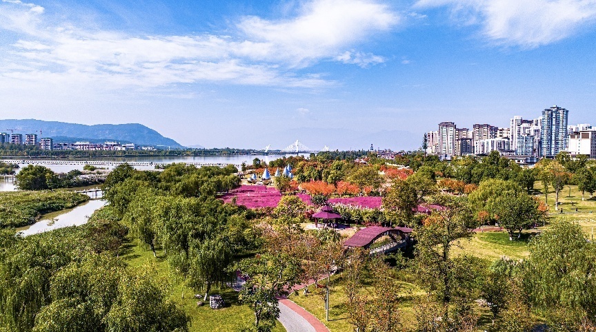 步入公園，仿佛走進“色彩的世界”。王淦攝（資料圖片）